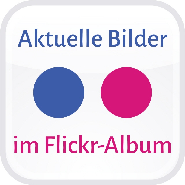 Aktuelle Bilder