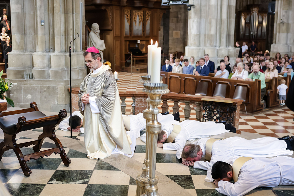 schoenlaub 2026